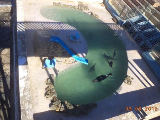 East London Aquarium